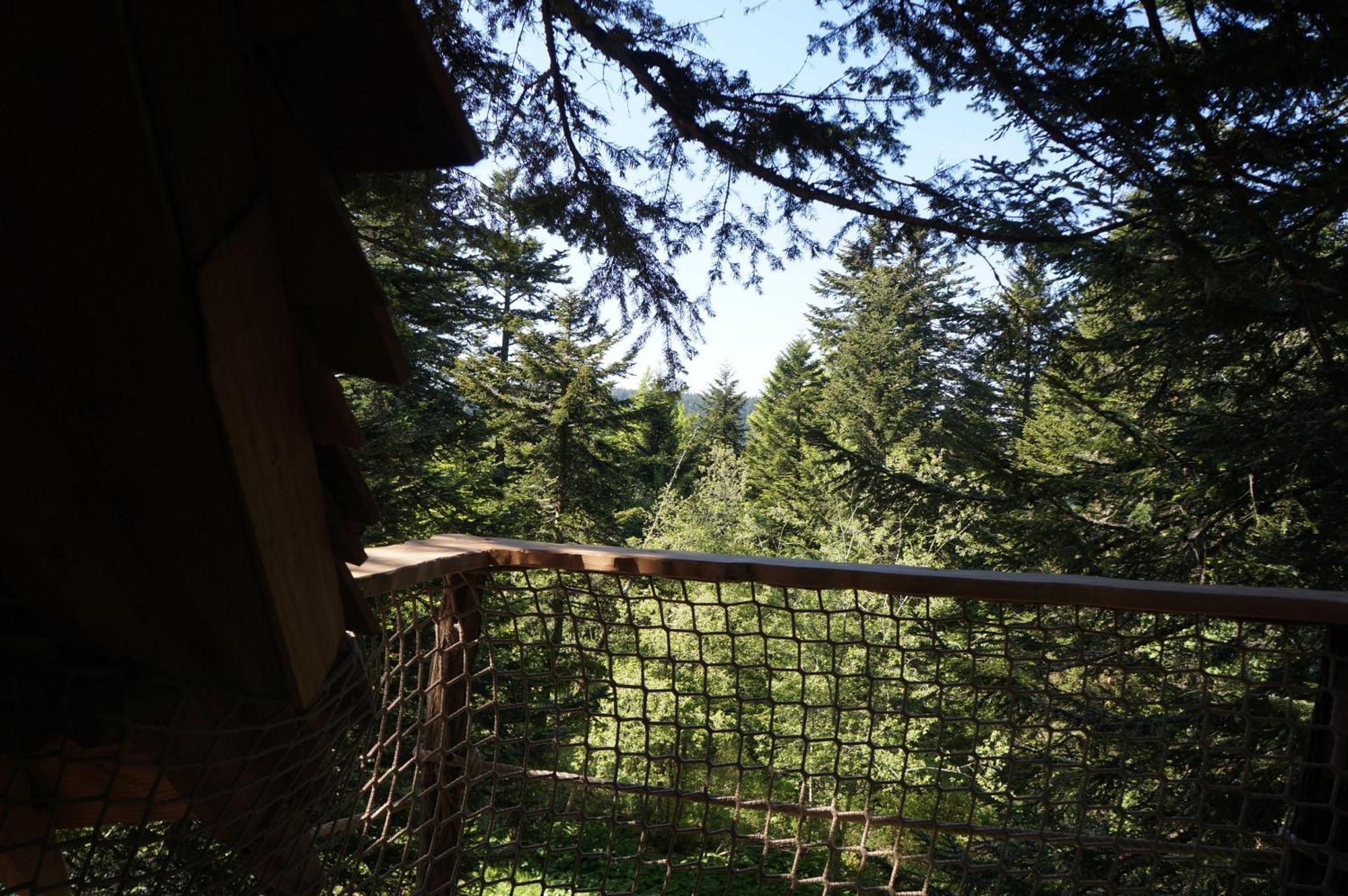 Cabanes Des Volcans La Tour-dʼAuvergne Δωμάτιο φωτογραφία